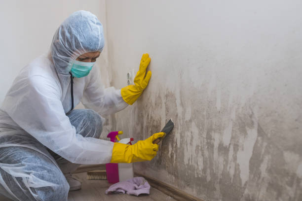 Best Biohazard Mold Removal  in Utica, SC