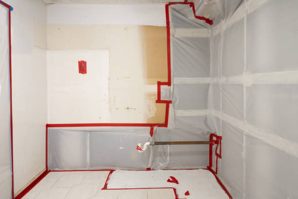 Best Black Mold Removal  in Utica, SC