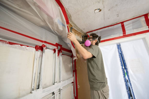 Best Attic Mold Removal  in Utica, SC