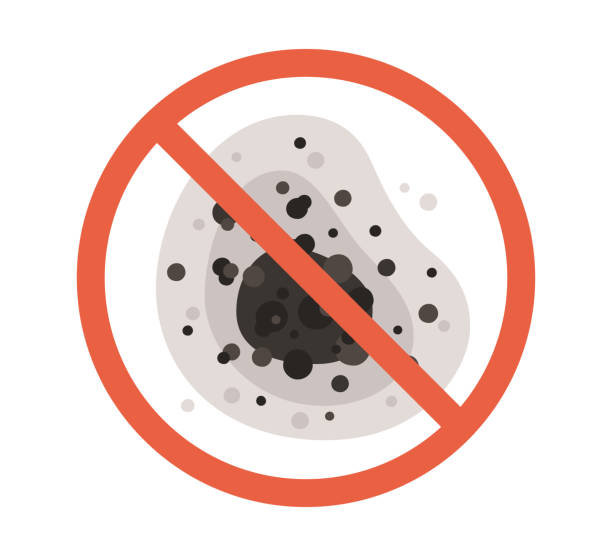 Best Commercial Mold Inspection  in Utica, SC