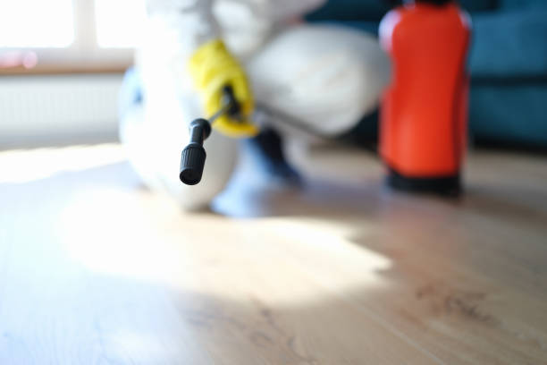 Best Mold Prevention Services  in Utica, SC