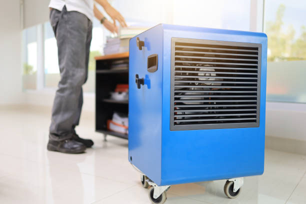Best Emergency Mold Remediation  in Utica, SC