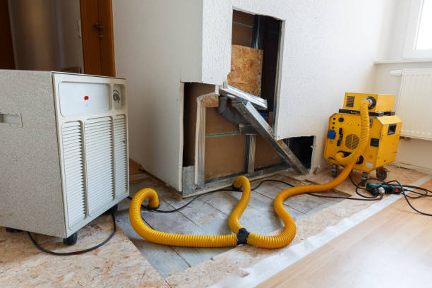 Best Forensic Mold Investigation  in Utica, SC