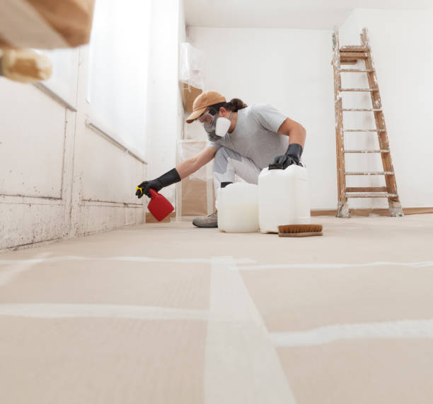 Best Airborne Mold Testing  in Utica, SC